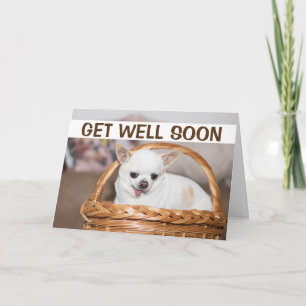 Carte Soyez bien bientôt mignon chien chihuahua dans le 