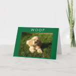 CARTE SPANIEL SAYS WOOF-AND-HAPPY BIRTHDAY MOM<br><div class="desc">LOVE OUR DOG! HOPE YOU DO AS WELL (BUT NOW HE IS 10) AND HE WANTS YOUR MOM TO HAVE A VERY HAPPY BIRTHDAY. THANK YOU FOR STOPPING BY ONE OF MY EIGHT STORES!!!</div>