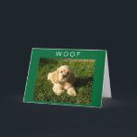 CARTE SPANIEL SAYS WOOF-AND-HAPPY BIRTHDAY MOM<br><div class="desc">LOVE OUR DOG! HOPE YOU DO AS WELL (BUT NOW HE IS 10) AND HE WANTS YOUR MOM TO HAVE A VERY HAPPY BIRTHDAY. THANK YOU FOR STOPPING BY ONE OF MY EIGHT STORES!!!</div>