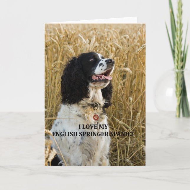 Carte spaniel spaniel bwlove w pic (Devant)