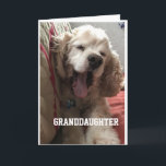 Carte **SPECIAL BIRTHDAY** for "GRANDDAUGHTER" Card<br><div class="desc">GREAT CARD FOR THAT SPECIAL ***GRANDDAUGHTER***</div>