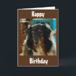 CARTE SPECIAL BIRTHDAY WISHES FROM A SPECIAL PUPPY<br><div class="desc">SOMEONE YOU KNOW IS HAVING A BIRTHDAY AND THEY LOVE PUPPIES AND I THINK THAT THEY WILL LOVE THIS CARD! DO NOT FORGET THAT YOU CAN CHANGE THE VERSE ON THE FRONT AND INSIDE MY CARDS!!!  THANKS FOR STOPPING BY ONE OF MY EIGHT STORES!</div>