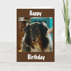 CARTE SPECIAL BIRTHDAY WISHES FROM A SPECIAL PUPPY