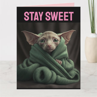 CARTE SPHINX CUTE HAIRLESS CAT VALENTINE'S DAY GREETING