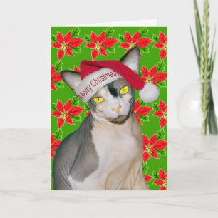 Carte Sphynx Chat Ninja Père Noël Noël Holi Green