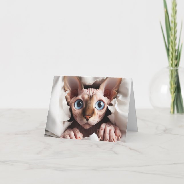 Carte Sphynx pour toute occasion (Devant)