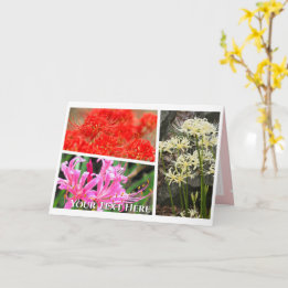 Carte Spider Lily