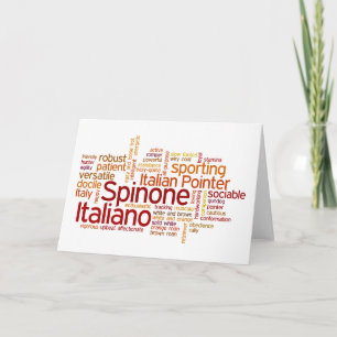 Carte Spinone Italiano