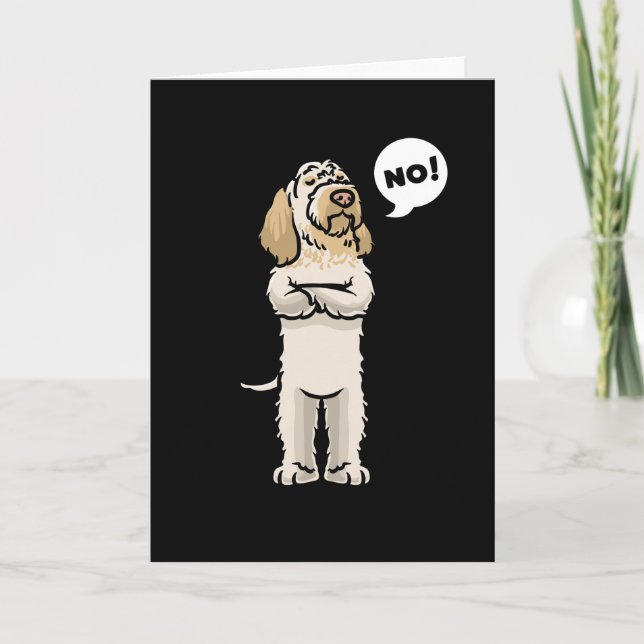 Carte Spinone Italiano Chien tenace (Devant)