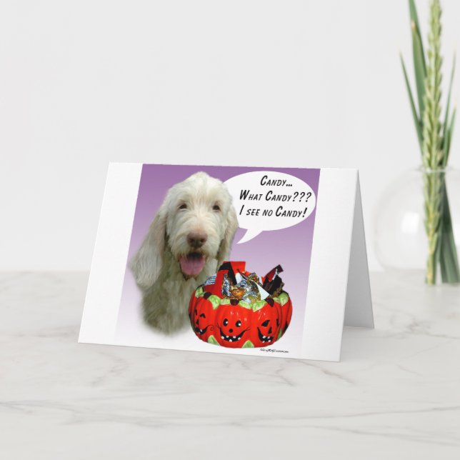 Carte Spinone Italiano Halloween Candy (Devant)