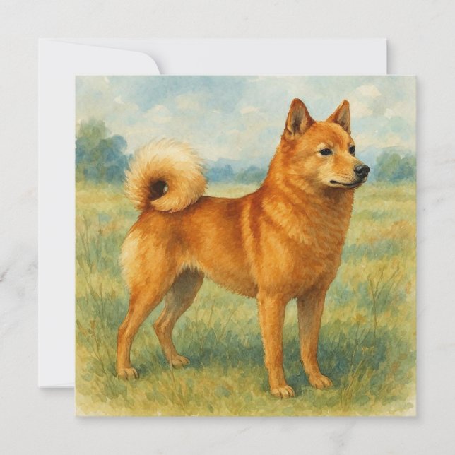 Carte Spitz finnois (Devant)