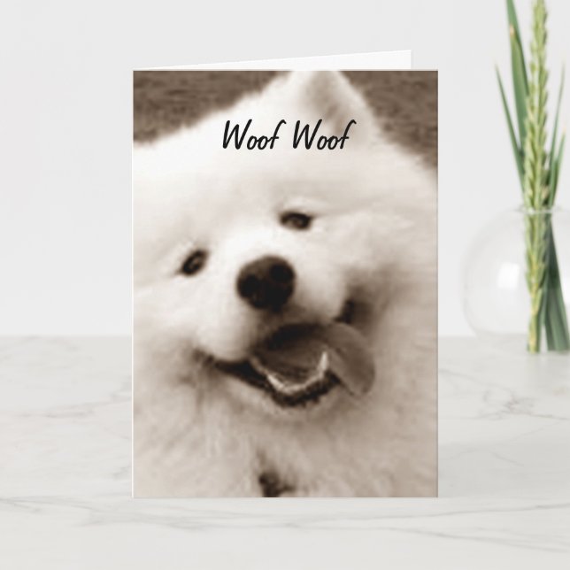 CARTE SPITZ SOUHAITE UN JOLI ANNIVERSAIRE "DU GROUPE" (Devant)