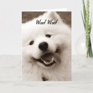 CARTE SPITZ SOUHAITE UN JOLI ANNIVERSAIRE "DU GROUPE"