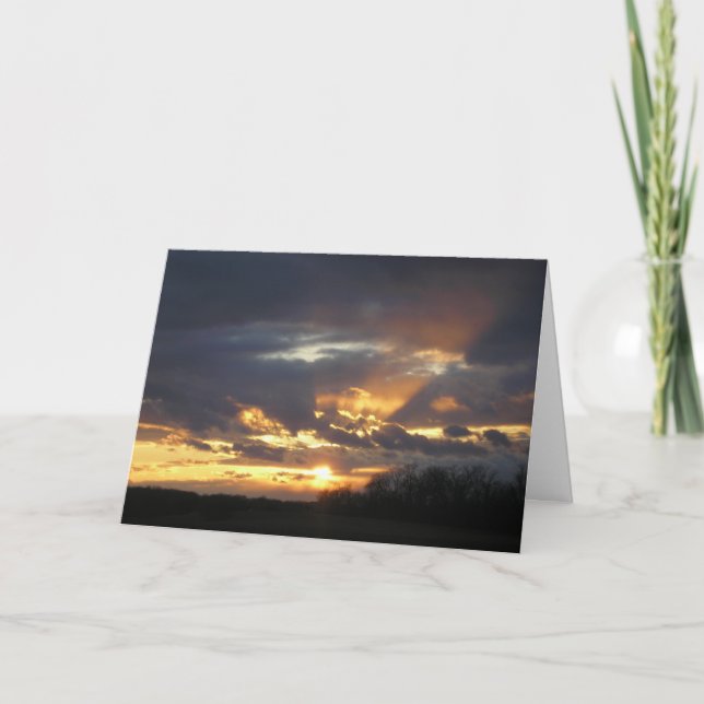 Carte "Splendor !" (Devant)