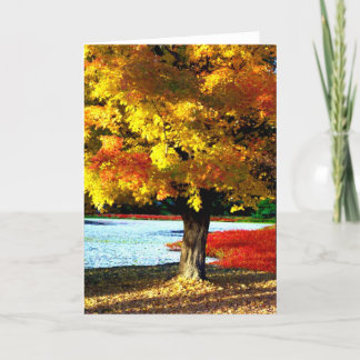 Carte Splendor d'automne