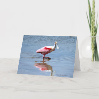 Carte Spoonbill-5-05
