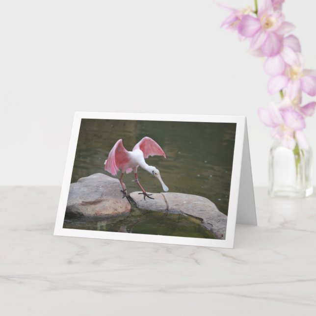 Carte Spoonbill de Roseate sur les rochers (Orchidée)