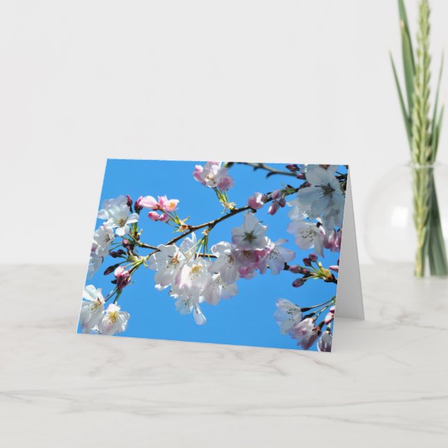 Carte Spring Cherry Blossoms (Devant)