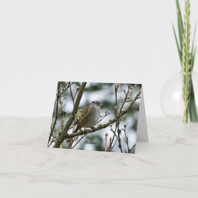 Carte Spring Chickadee (Devant)