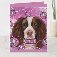 SPRINGER SPANIEL ANGLAIS       