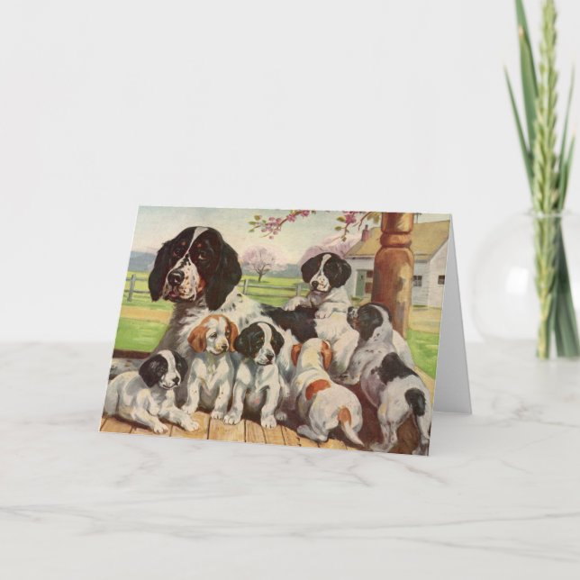 Carte Springer spaniel maman et chiots (Devant)