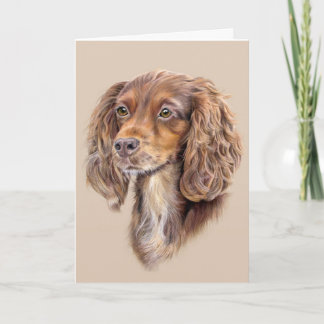 Carte Springer Sprocker Cocker Spaniel Greming Card