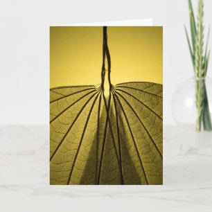 Carte Squelette de feuille