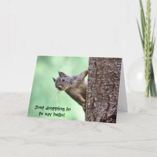 Carte Squirl