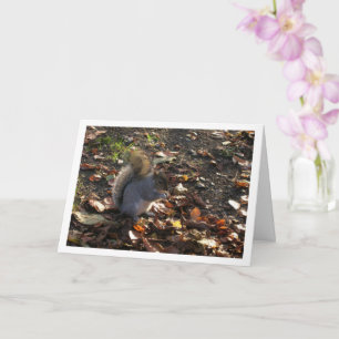 Carte Squirrel in Leaves