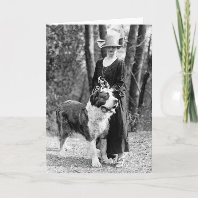 Carte St Bernard et Boston Terrier, 1925 (Devant)