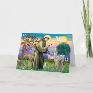 Carte St Francis et Llama Baby