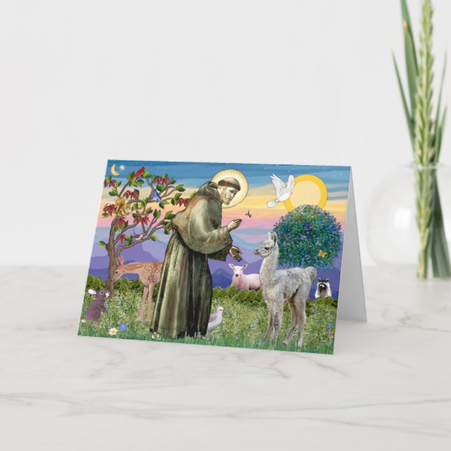 Carte St Francis et Llama Baby (Devant)