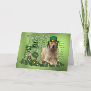 Carte St patrick - je charme chanceux - golden retriever