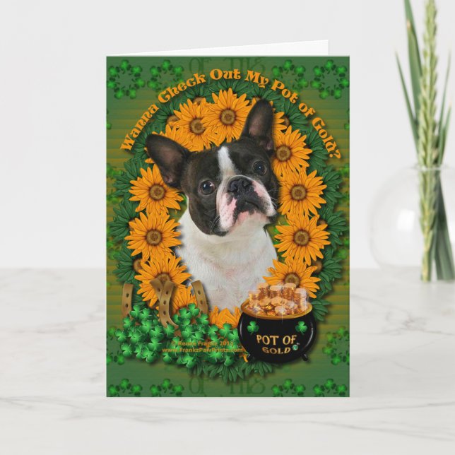 Carte St patrick - pot d'or - Boston Terrier (Devant)