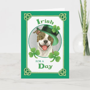 Carte St. Patrick's Day Pit Bull