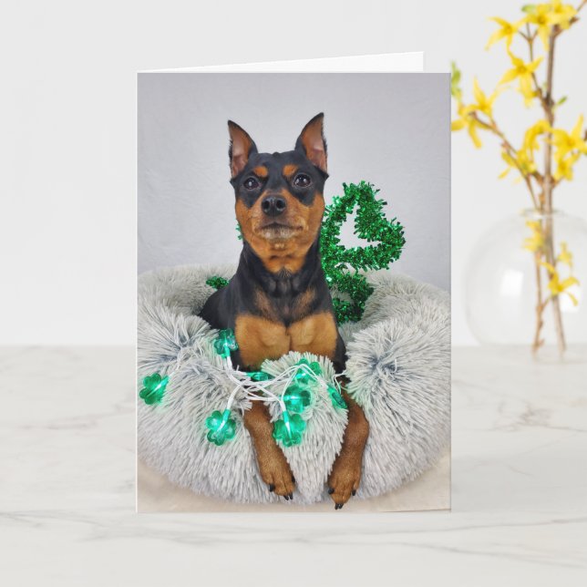 Carte St Pats MinPin (Fleur jaune)