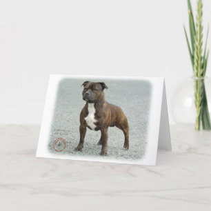 Carte Staffordshire Bull Terrier
