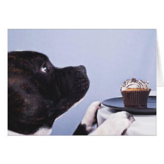 Carte Staffordshire Bull Terrier & Cake