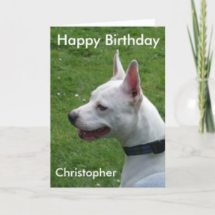 Carte Staffordshire Bull Terrier Joyeux anniversaire