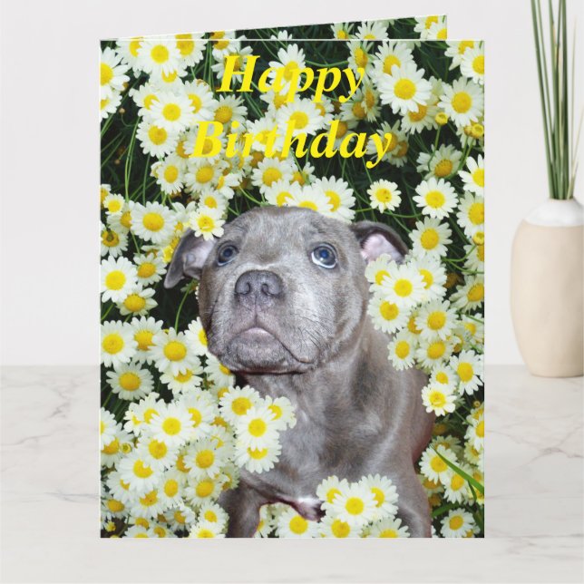 Carte Staffordshire Bull Terrier Puppy Dans Les Fosses, (Devant)