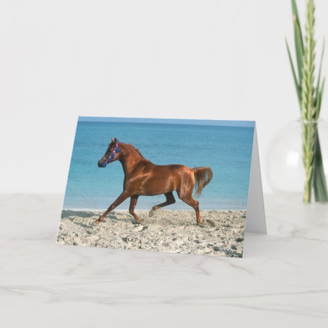 Carte Staline arabe châtaignier courir sur la plage (Devant)