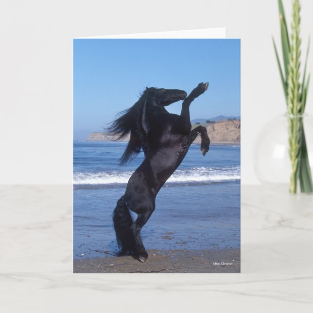 Carte Stallion Friésien Noir Élevant Sur La Plage (Devant)