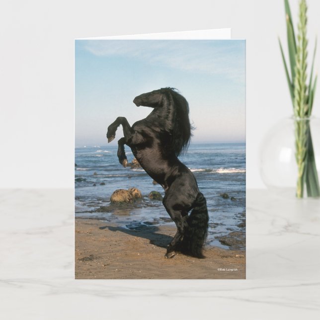 Carte Stallion Friésien Noir Élevant Sur La Plage (Devant)