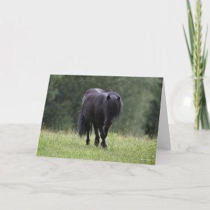 Carte Stallion noir de Shetland Pony marchant