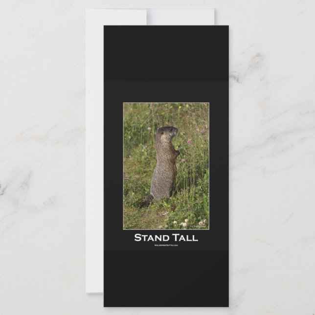 Carte Stand Tall Marmot Card (Devant)