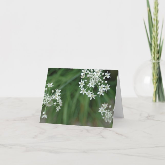 Carte Starburst (Devant)