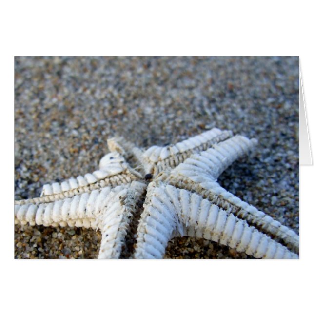 Carte Starfish (Devant horizontal)