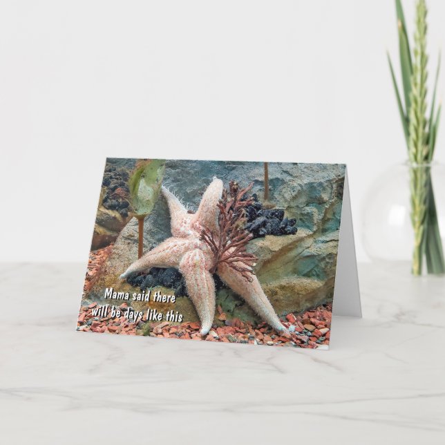 Carte Starfish Humour pour la pensée de vous (Devant)