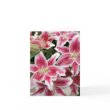 Carte Stargazer Lily Note - Vide