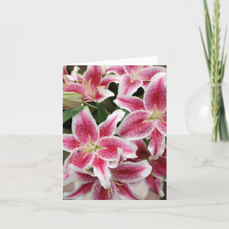 Carte Stargazer Lily Note - Vide